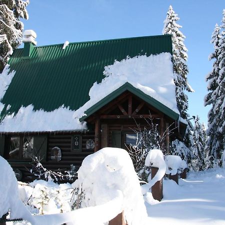 Durmitor Chalet Žabljak Екстериор снимка