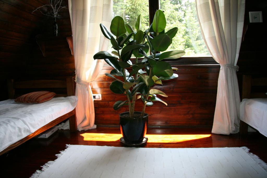 Durmitor Chalet Žabljak Екстериор снимка