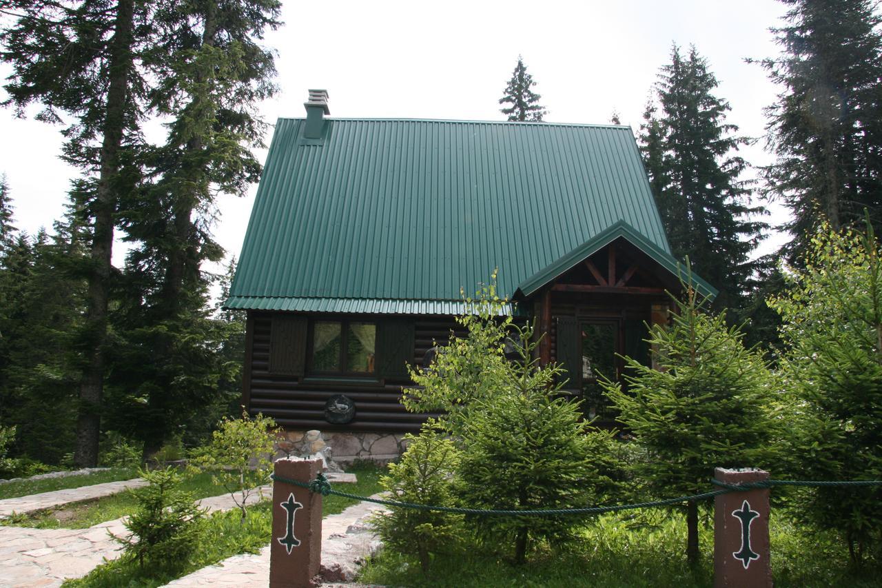 Durmitor Chalet Žabljak Екстериор снимка