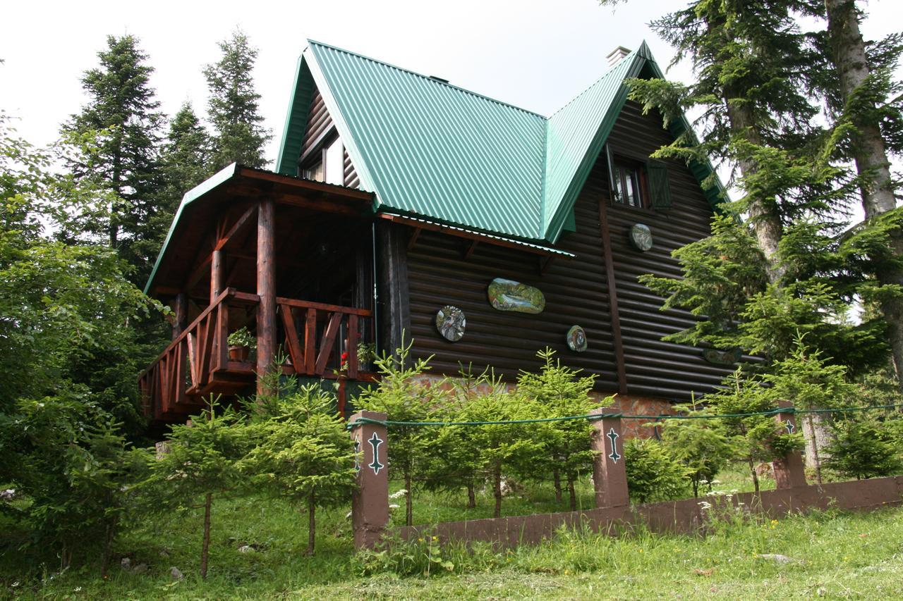 Durmitor Chalet Žabljak Екстериор снимка