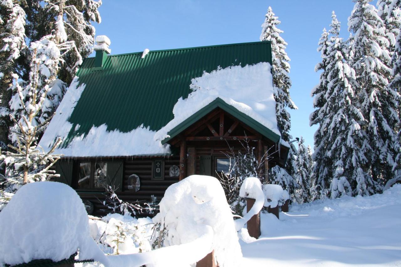Durmitor Chalet Žabljak Екстериор снимка